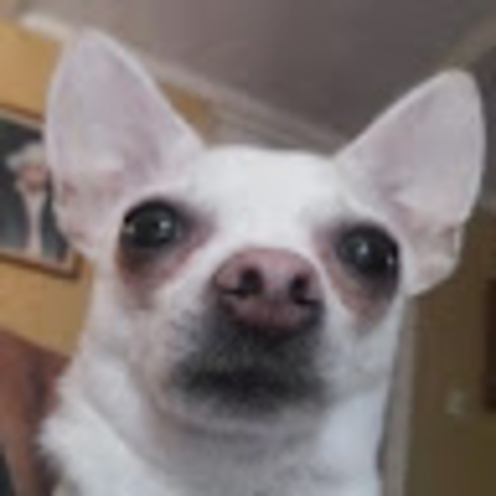 Meet your Posher, Julissa